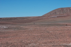 clique na foto para ampli-la